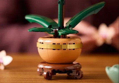 LEGO ICONS 10343 Botanicals - Mała orchidea - zdjęcie 4
