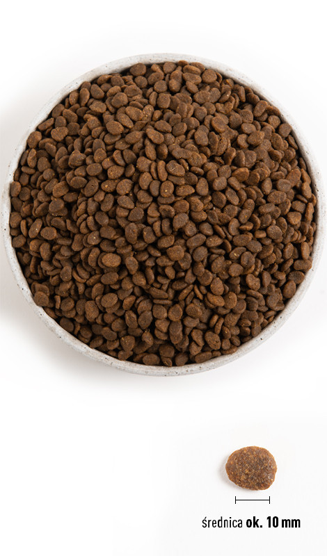 ACANA Regionals Pacifica - sucha karma dla kota - 1,8 kg - zdjęcie 1