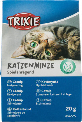 TRIXIE Kocimiętka w kartoniku - 20g - zdjęcie 1