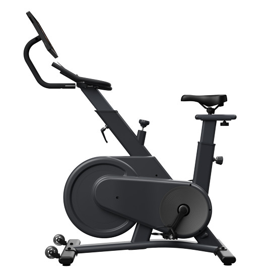 Rower stacjonarny, magnetyczny OVICX Q200X z ekranem dotykowym 15,6" TFT, WIFI bluetooth&app - zdjęcie 13