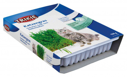 TRIXIE Trawa dla kota pojemnik 100g 4235 - zdjęcie 1