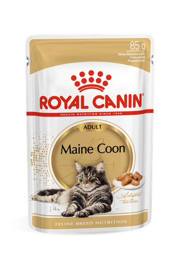 Royal Canin FBN Maine Coon Adult - mokra karma dla dorosłego kota - 12x85 g - zdjęcie 1