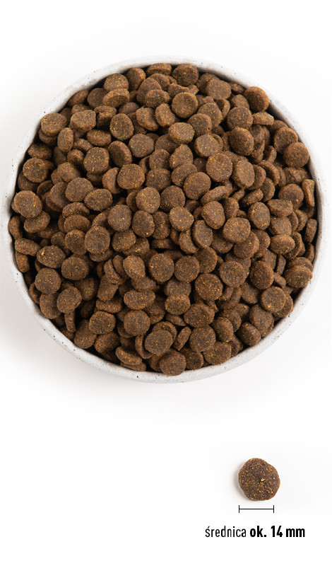 ACANA Grass-fed Lamb - sucha karma dla psa - 11,4 kg + 2 kg za 1 zł! - zdjęcie 2