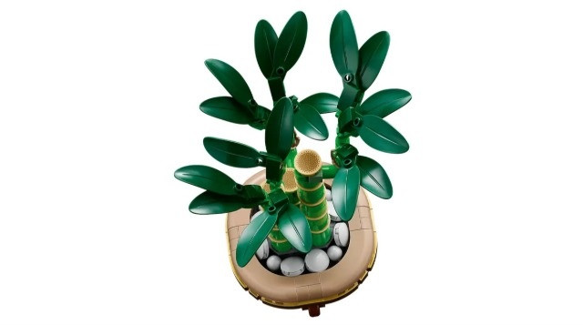 LEGO ICONS 10344 Botanicals - Dracena sandera - zdjęcie 2