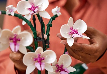 LEGO Icons 10311 Orchidea - zdjęcie 4