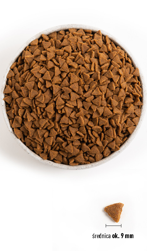 ACANA Indoor Entrée Kurczak ze śledziem - mokra karma dla kota - 4,5 kg - zdjęcie 2
