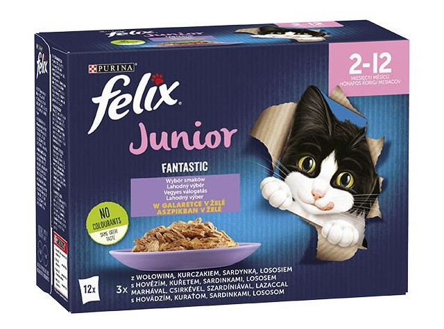 FELIX Fantastic Junior Kurczak - mokra karma dla kociąt - 12x85g - zdjęcie 1