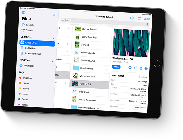 Apple iPad 2021 10,2" 64GB Wi-Fi Space Gray - zdjęcie 11