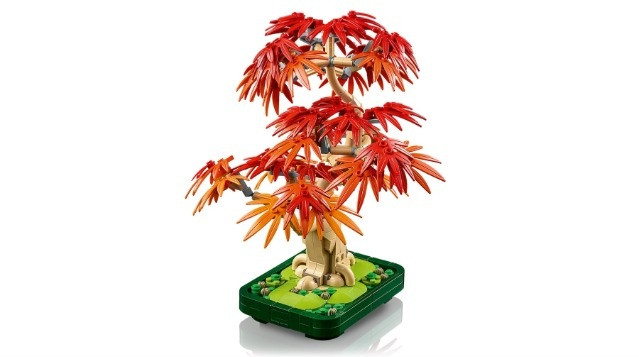 LEGO BOTANICALS 10348 JAPANESE RED MAPLE BONSAI TREE - zdjęcie 2