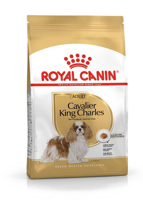 ROYAL CANIN BHN Cavalier King Charles Spaniel Adult - sucha karma dla psa dorosłego - 1,5kg - zdjęcie 1