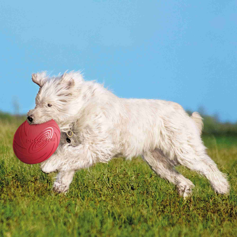 TRIXIE Frisbee gumowe 18cm 33501 - zdjęcie 1