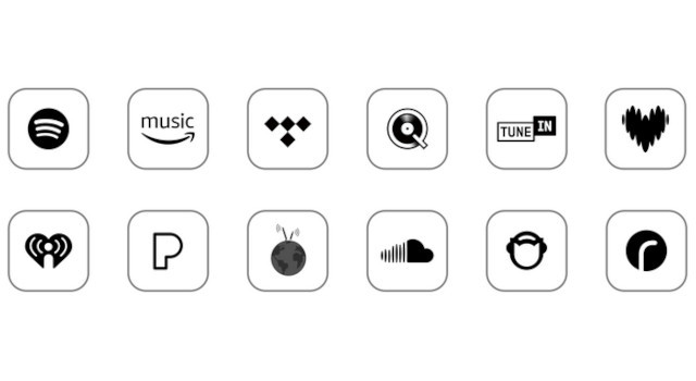 WiiM Amp Pro Dark Grey - Wzmacniacz - zdjęcie 3