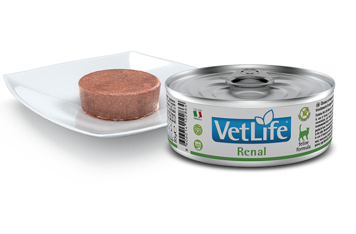 FARMINA Vet Life Renal Feline - mokra karma dla kota - 12x85g - zdjęcie 1