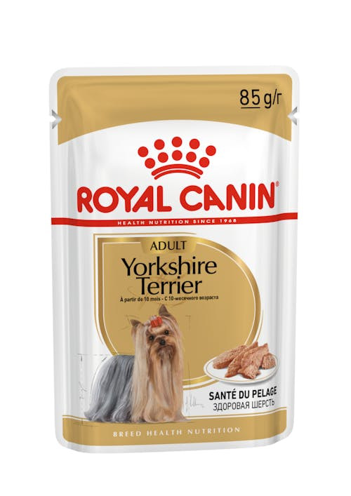 ROYAL CANIN BHN Yorkshire Terrier Adult - mokra karma dla psa dorosłego - 12x85 g - zdjęcie 1