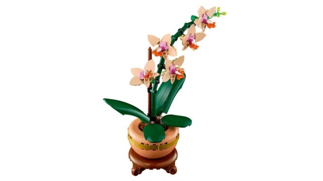 LEGO ICONS 10343 Botanicals - Mała orchidea - zdjęcie 2