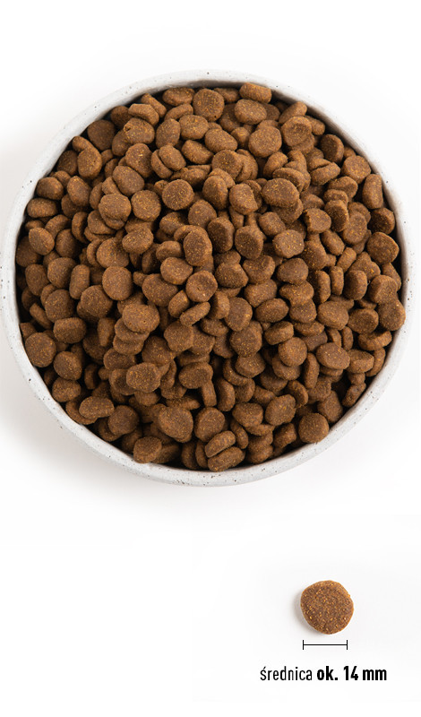 ORIJEN Fit & Trim - sucha karma dla psa - 2x11,4 kg - zdjęcie 2