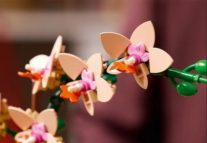 LEGO ICONS 10343 Botanicals - Mała orchidea - zdjęcie 3