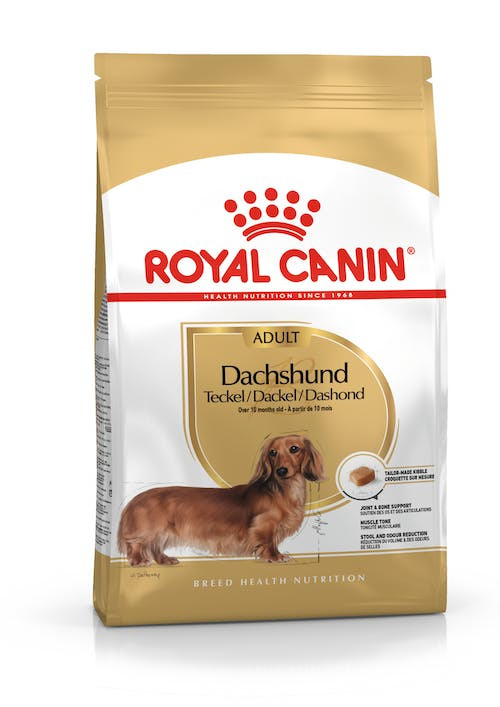 Royal Canin BHN Dachshund Adult - sucha karma dla psa dorosłego - 1,5kg - zdjęcie 1