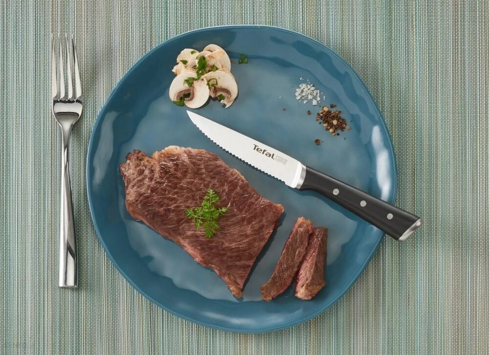 Zestaw 4 noży TEFAL Ice Force K232S414 - zdjęcie 1