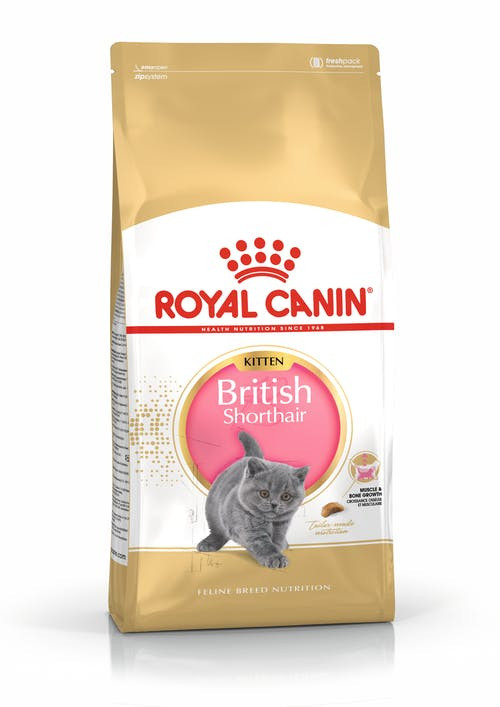 Royal Canin FBN British Shorthair Kitten - sucha karma dla kociąt - 2 kg - zdjęcie 1