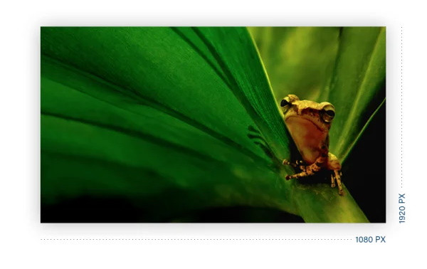 MONITOR AOC LED 23.8" 24B2XHM2 - zdjęcie 3